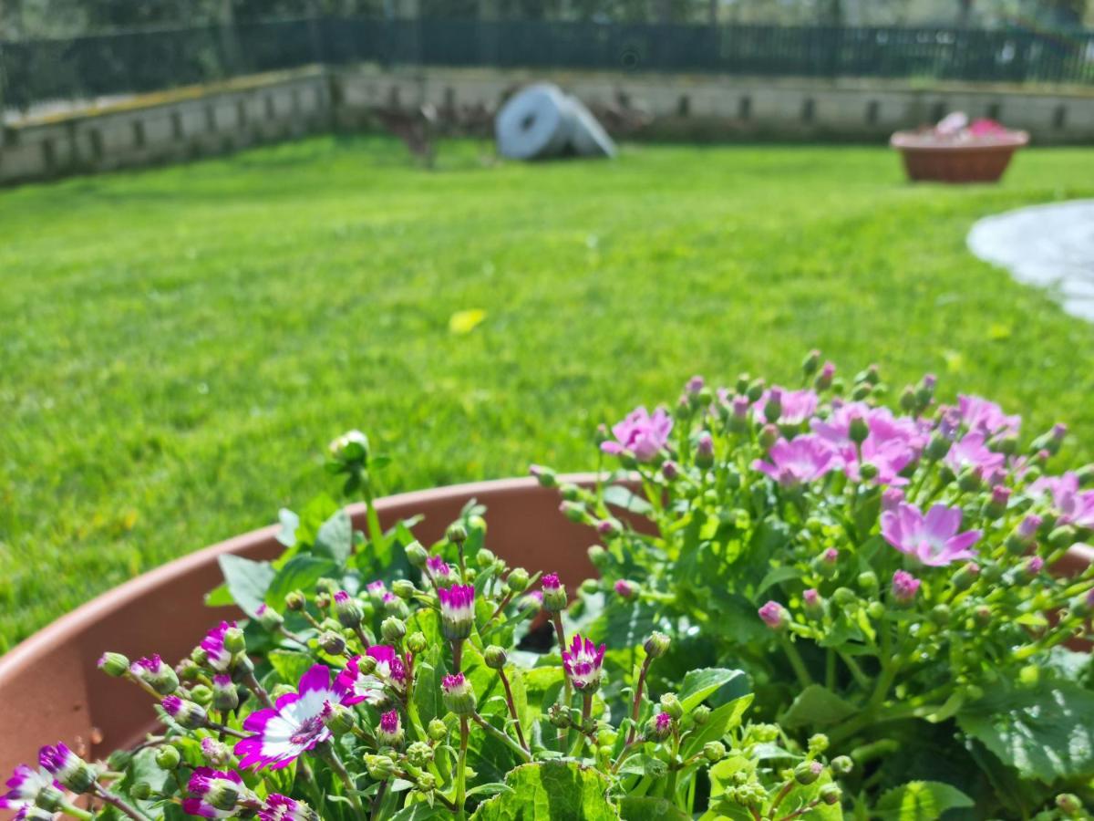 Il Casale Nel Parco Guesthouse 로마 외부 사진